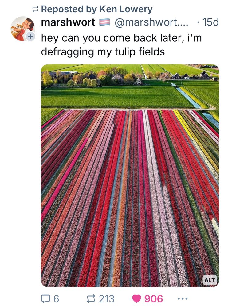 Comment image