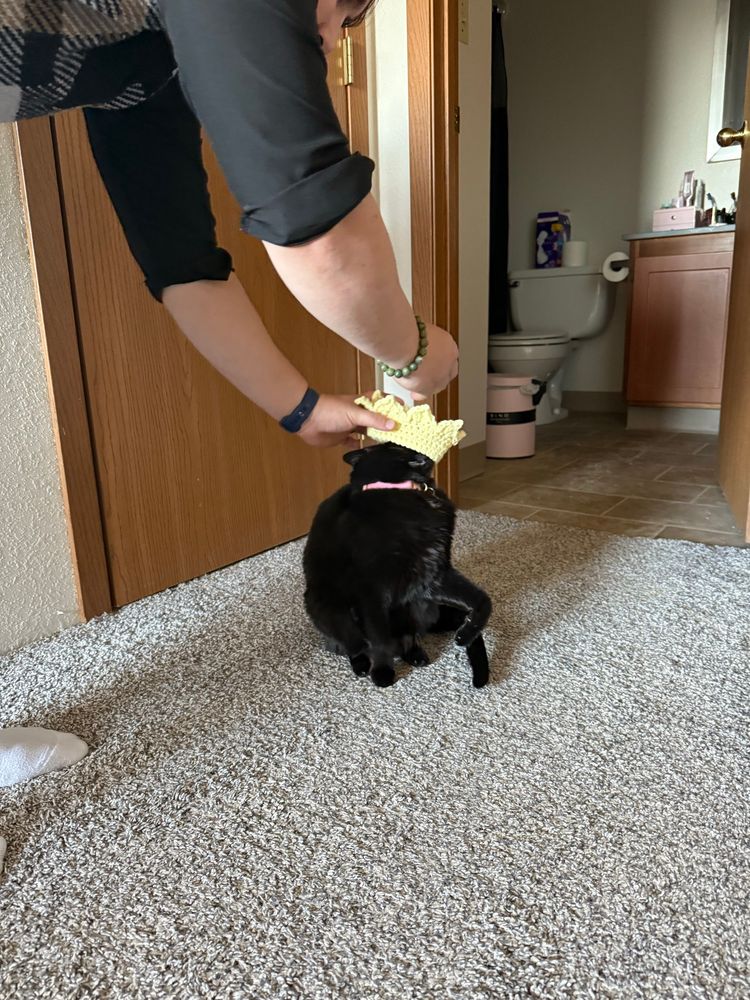 Rhea ducking away from the crown