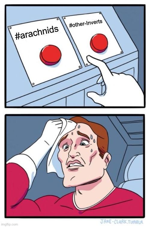 A meme of a man struggling to figure out which button to press: arachnids or “other inverts”