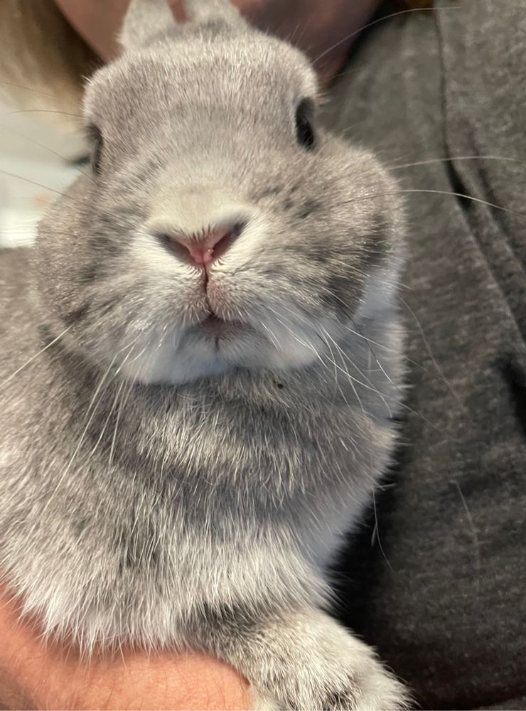 Same but with head turned slightly