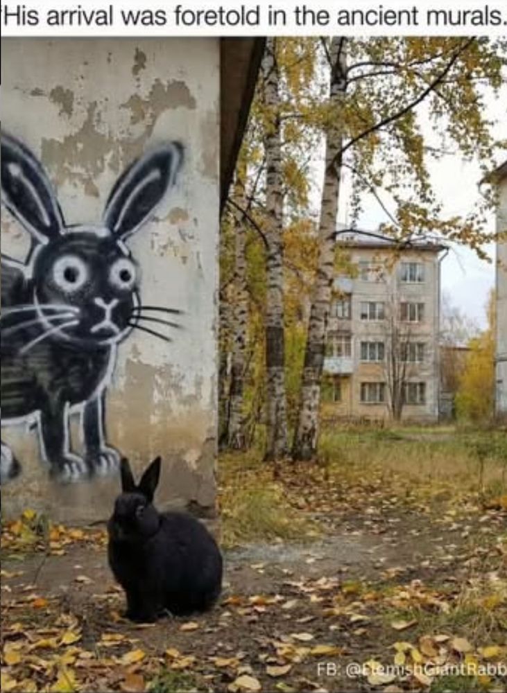 “His arrival was for told in the ancient murals”—below there is a photograph of a large black rabbit, standing in front of a wall with a mural of a cartoon black rabbit on it