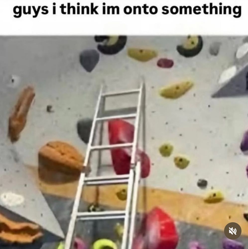“guys i think im onto something”
images of a ladder propped against a climbing wall to bypass it