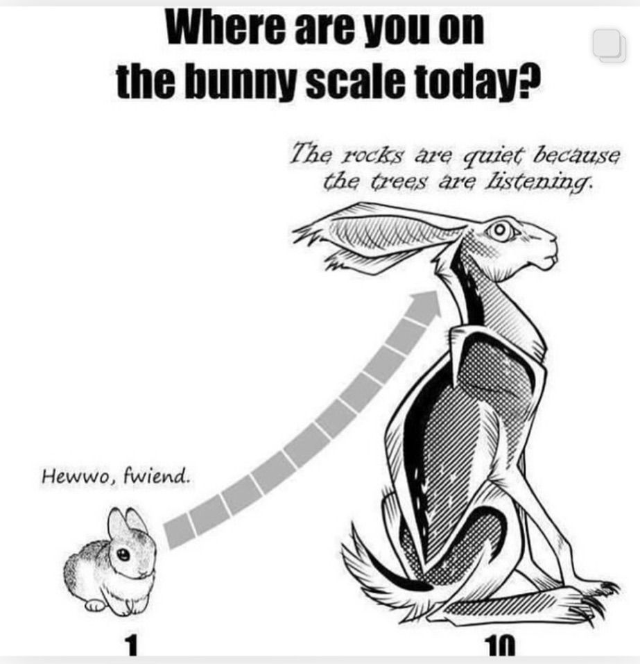 Where are you on the bunny scale today?
Large scary looking hare says: The rocks are quiet because the trees are Listening.” (10 on the scale)
And a small very cute rabbit says:
“Hewwo, fwiend.”
(1 on the scale)
