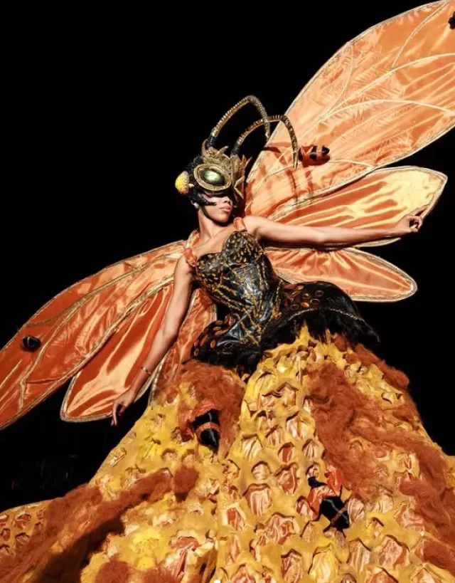 Miss Tanzania costumes like a stylish bee.