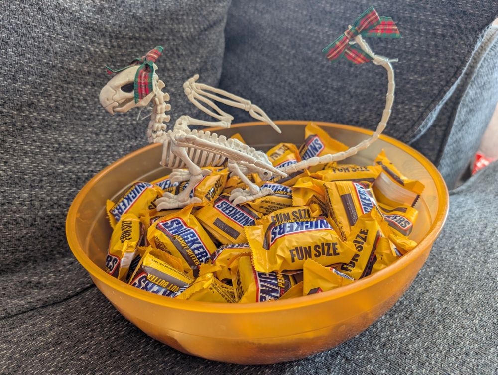 A skeletal gryphon wearing Christmas ribbons guarding a bowl of leftover Halloween candy — all peanut butter snickers.