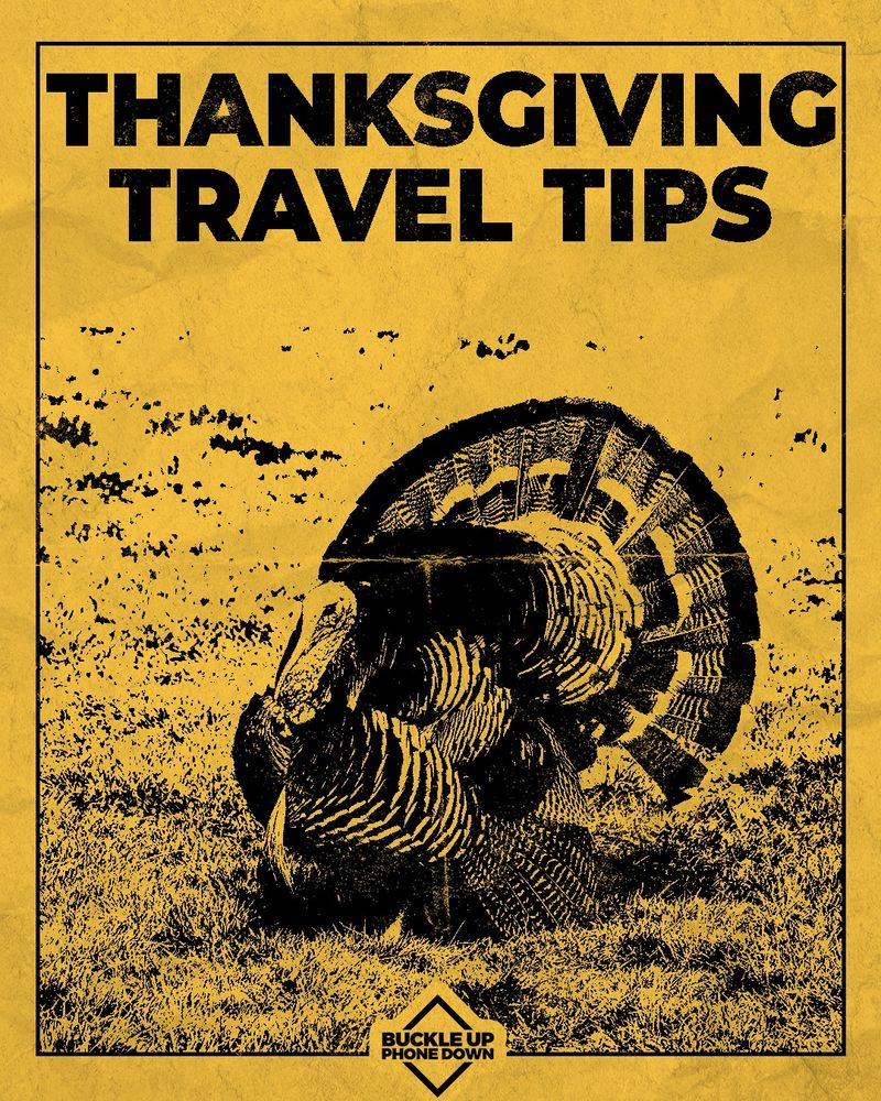 Thanksgiving Travel Tips