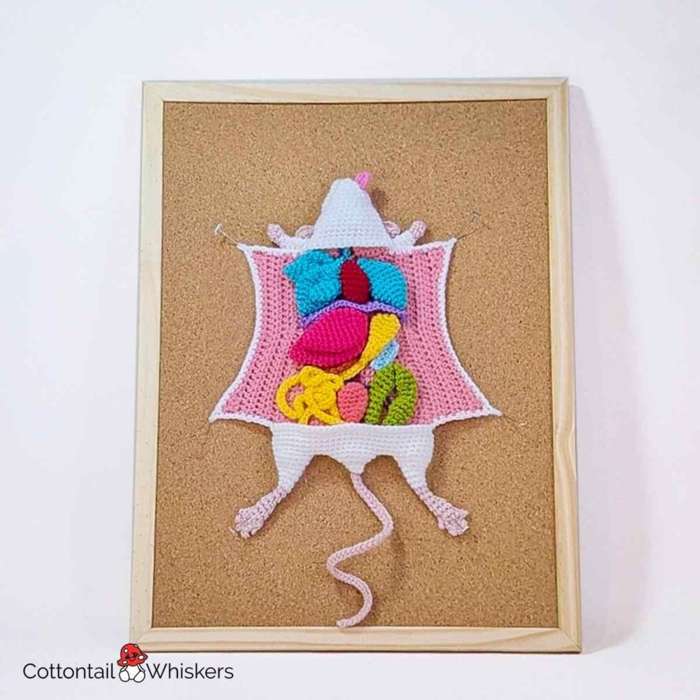 Cool Amigurumi Crochet Rat Dissection Pattern | Cottontail & Whiskers