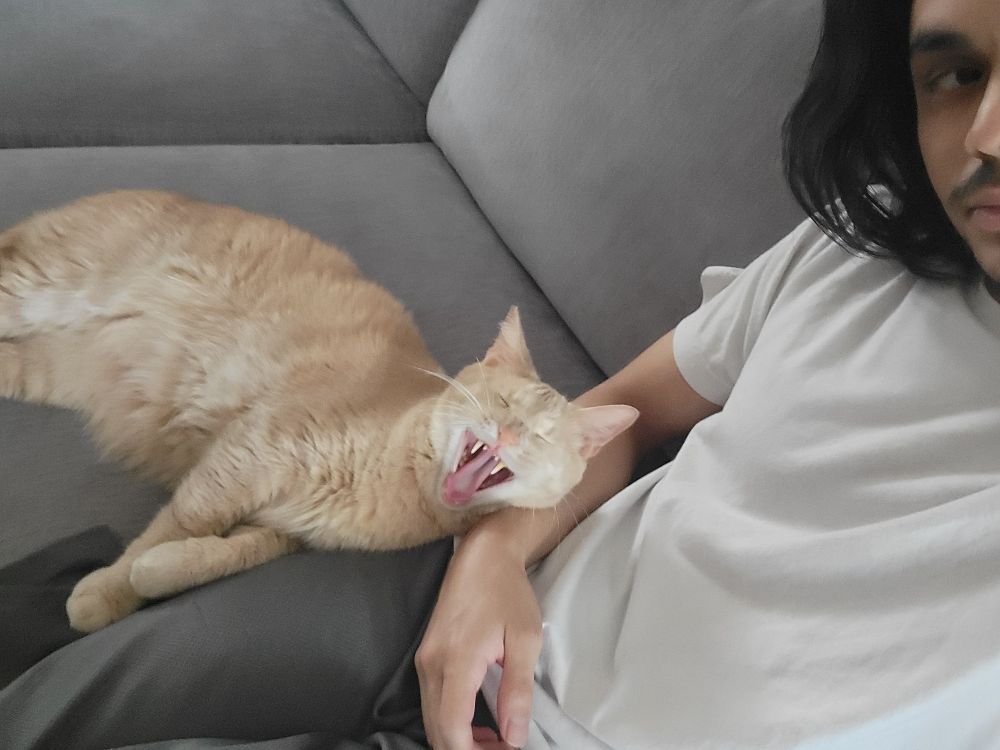 Mylo showing his fangs, either yawning or screaming into the void.