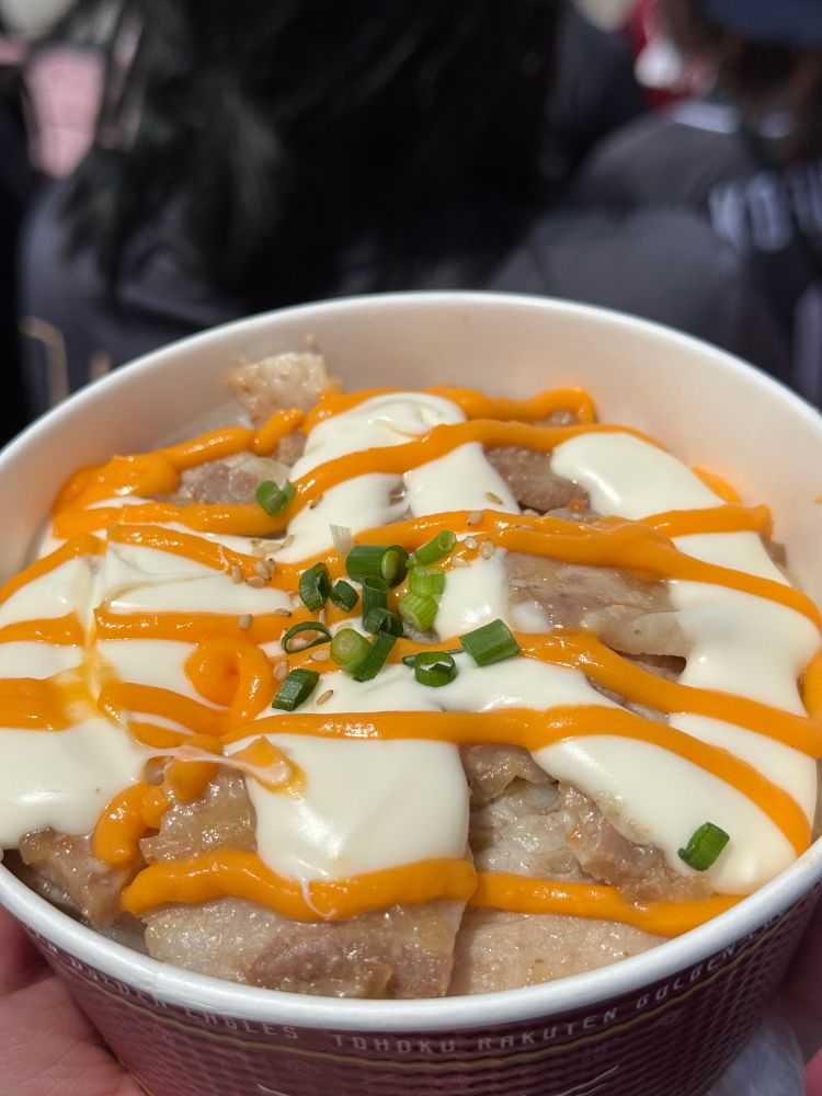 藤井聖のイベリコ豚のWチーズスタミナ丼