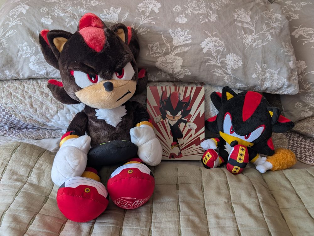 A Shadow the Hedgehog build-a 
-bear plush, a special edition Blu-ray steelbook of Sonic 3 with a cool image of Shadow running towards you, and a tiny Shadow plush holding a chicken wing