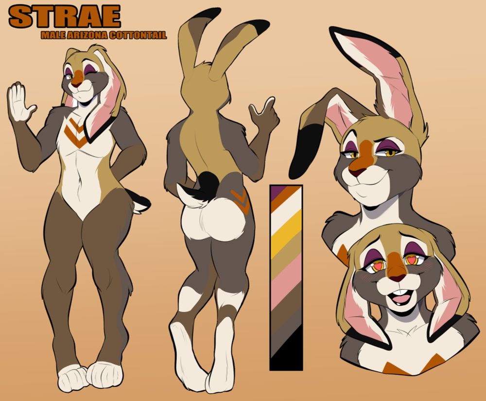 STRAE
MALE ARIZONA COTTONTAIL