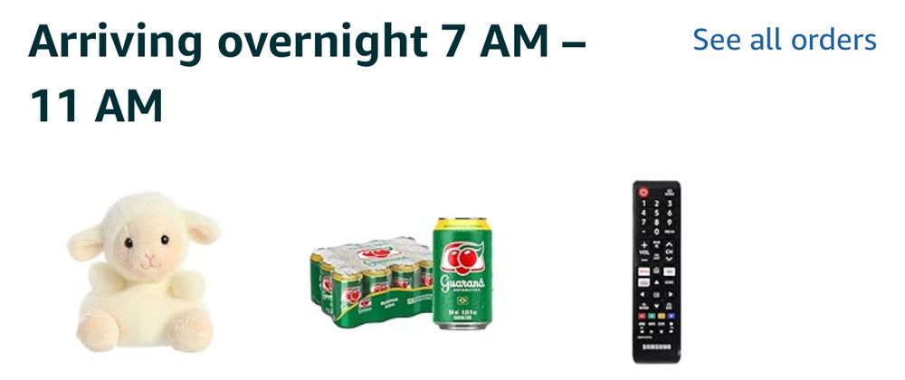 Arriving overnight 7 AM - 11 AM from Amazon: a tiny sheep plush, a 12 pack of Guarana soda, and a Samsung TV remote