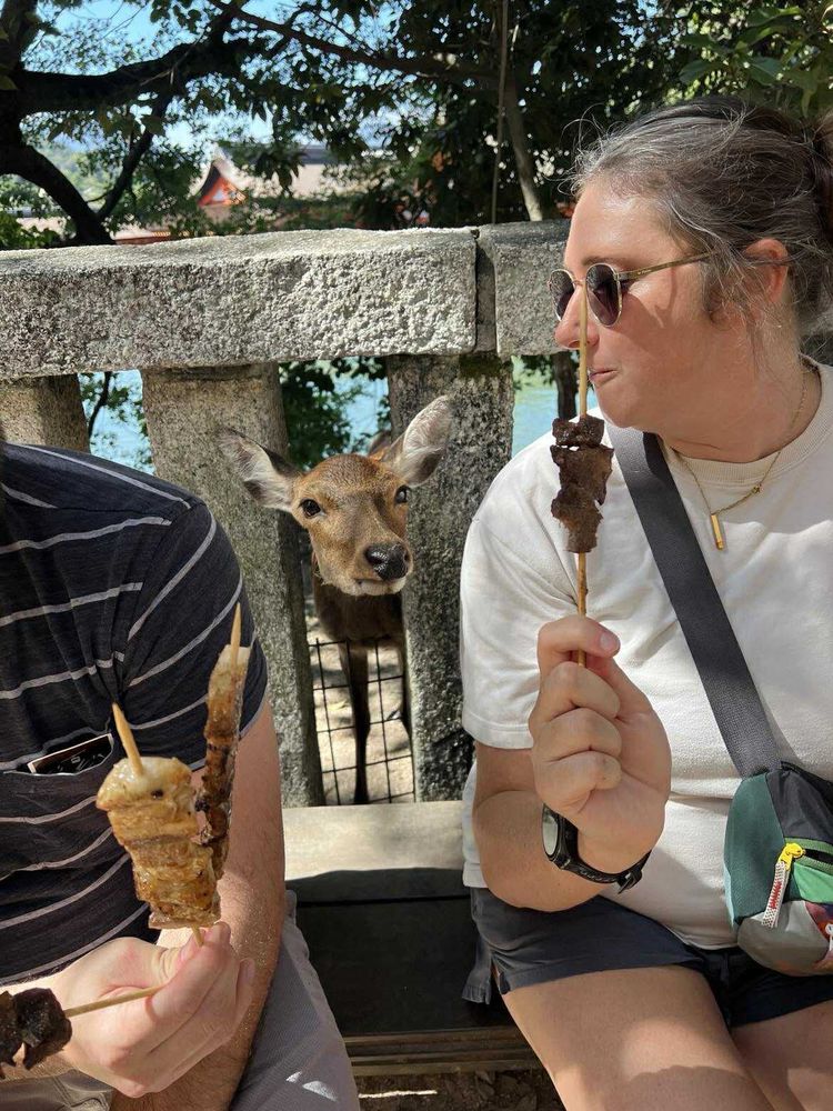 A deer trying to steal my friend’s meat on a stick through a concrete fence 