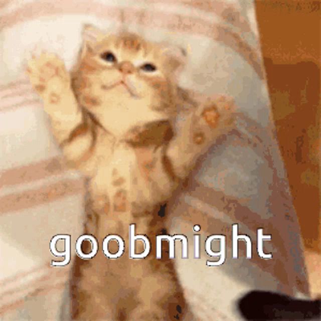 a picture of a cat with the words goobnight on the bottom