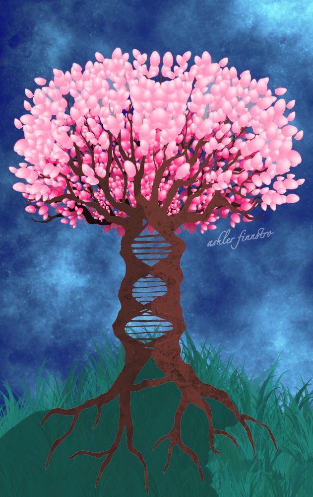 The image depicts a stylized tree with a unique trunk design resembling a DNA double helix structure. The tree's trunk is brown and spirals upward, forming the helix pattern. The branches extend outward from the top of the trunk, supporting a dense canopy of pink, oval-shaped blossoms leafs. The tree is rooted in a grassy mound, with visible roots extending into the ground. The background features a textured blue sky. The name "ashler finnstro" is written in cursive near the tree.