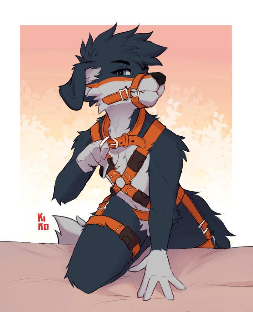 Fufu in an orange harness tugging their collar.