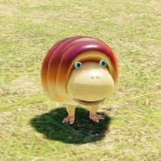 A breadbug