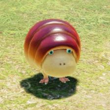 A breadbug