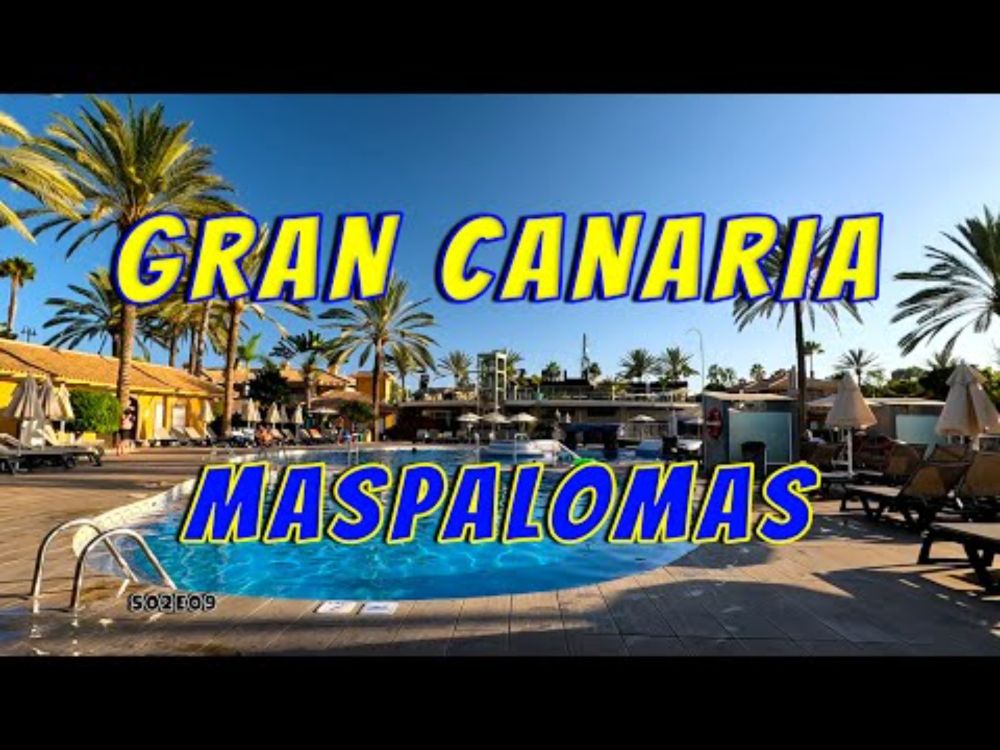 Really? There are no canaries in the Canary Islands? #travel #vlog