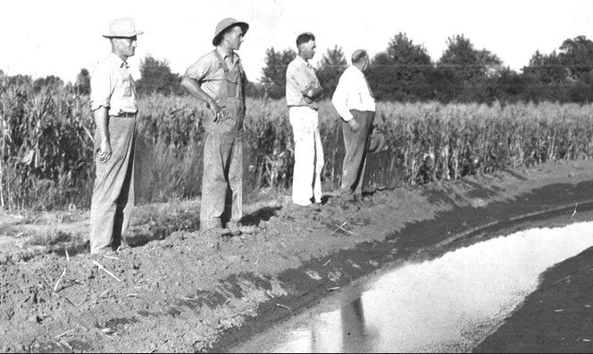 Black and white photo of four farmers standing in front of a cornfield and looking out over an irrigation ditch in pensive thought.