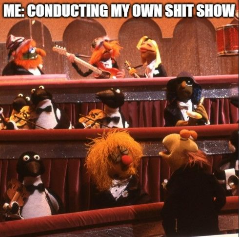 Nigel the Muppet conducting the Muppet Orchestra. 