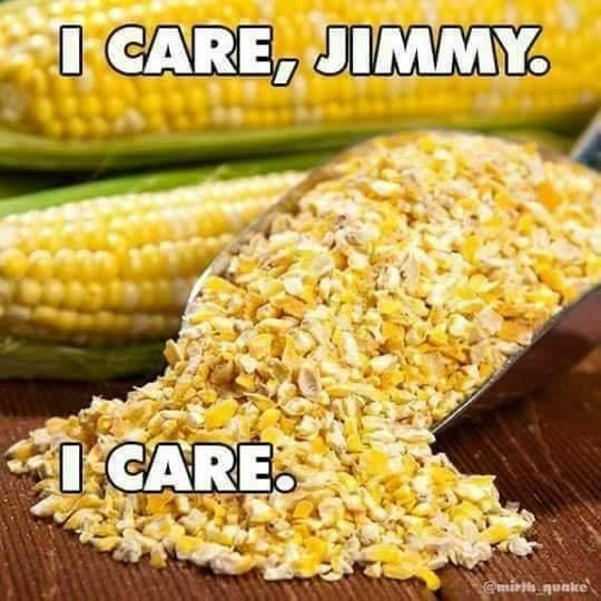 Two ears of corn and a scoop filled with cracked corn. 

Text: I care, Jimmy. I care. 