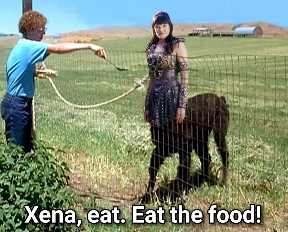 Scene from Napoleon Dynamite where Napoleon is feeding Tina, the llama. Xena Warrior Princess has been photoshopped onto Tina so she looks like a centaur. 
Text: Xena, eat. Eat the food!