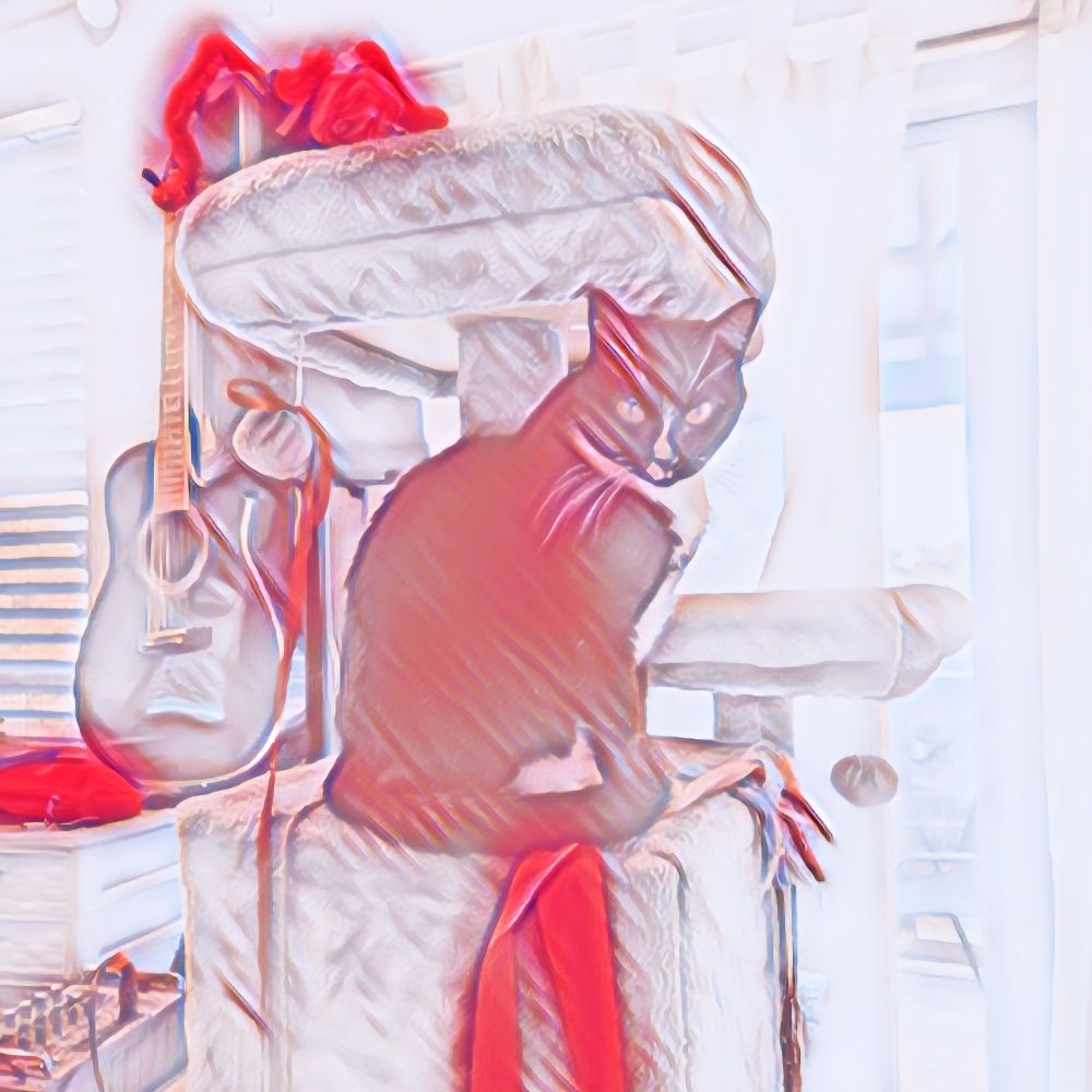 Gemmy, the black and white cat and a black guitar with a red wash over them