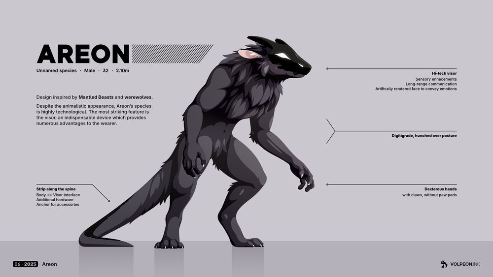 Vector art showing a creature similar to a werewolf, standing on two feet hunched over. Its whole body is covered in fluffy black fur. The most notable feature is the black visor with horns on its face which displays the nostrils and eyes as white shapes. Instead of a wolf tail, it has a long solid tail.
The text around it says his name is Areon.