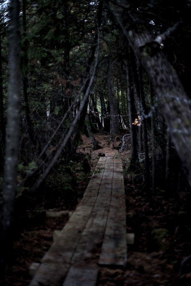 A narrow wooden boardwalk leads into a dense northern Michigan forest, flanked by leaning cedar and pine trees. The dim light filters through the branches, creating a tunnel-like path with fairy lights faintly visible overhead.
Camera & Processing Details:

Photos taken with a Sony a7RII using a Pentax Super-Takumar 50mm F1.4 vintage camera lens. Images were processed in Darktable.