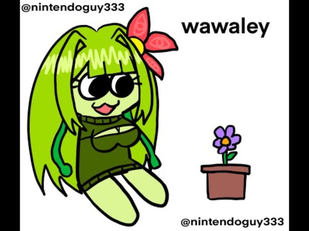 findloreley: More information about nintendoguy333?
