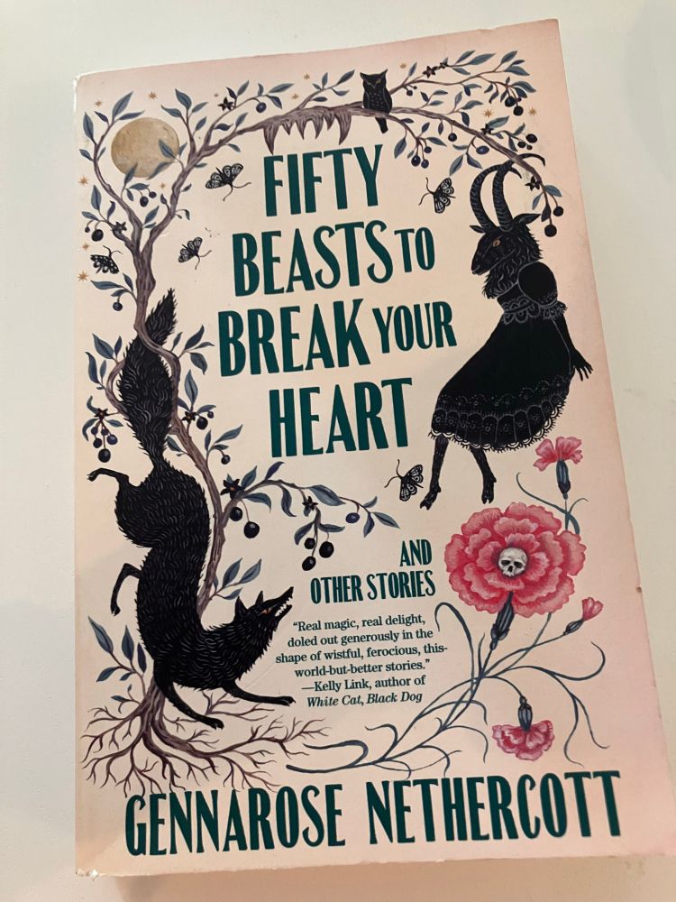 Cover of Fifty Beasts To Break Your Heart by Gennarose Nethercott