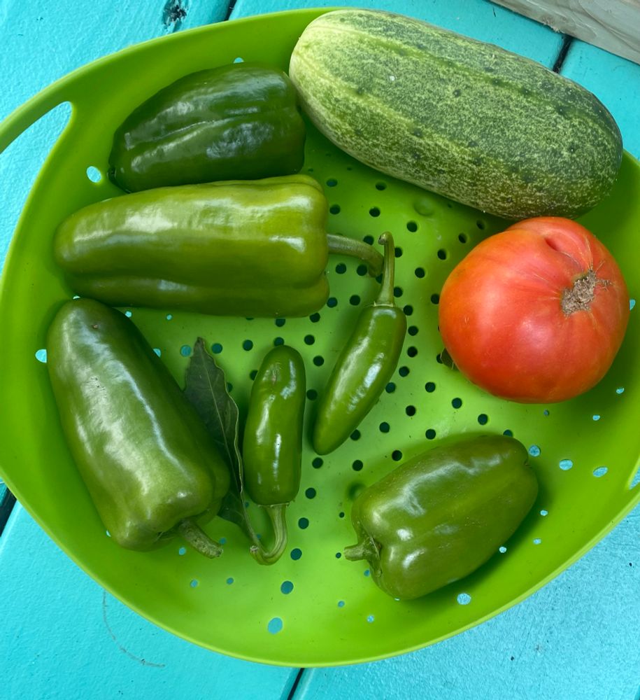 A tomato, a cucumber, some peppers and jalapeño 
