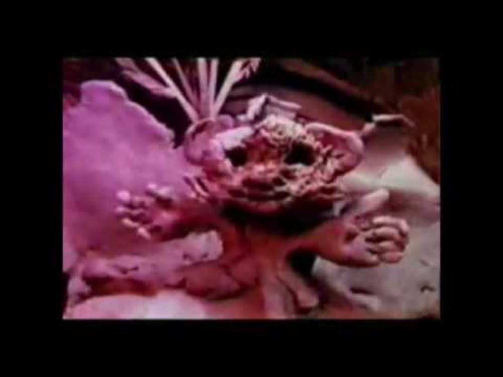 FRANK ZAPPA - BABY SNAKES #ZAPPA