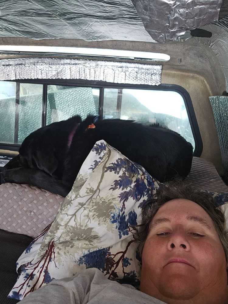 A selfie with the head of a reclining person and a dog laying on a cushion inside an old truck bed camper cap.