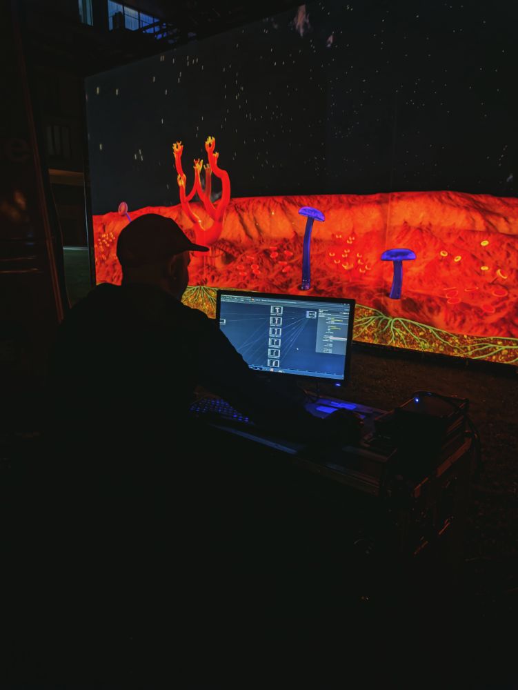 interactive installation wood wide web 