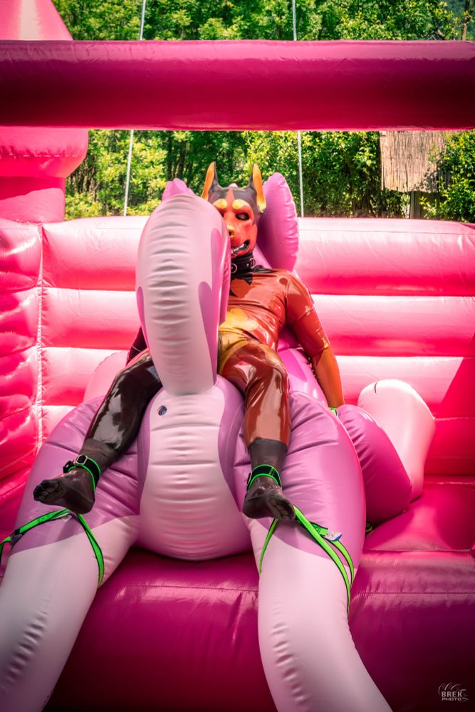 Orange rubber dog, bound over a pool toy, in a inflatable castle.