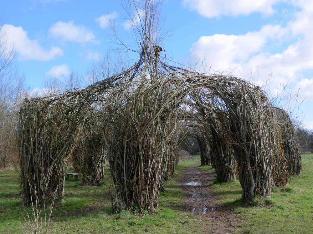 A large willow construction of arches and pillars over a path