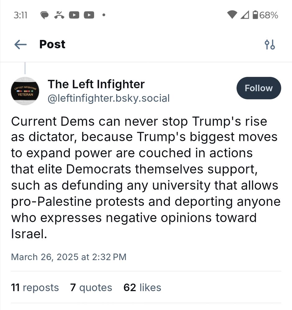 Screen grab of The Left Infighter post critical of Dems.
