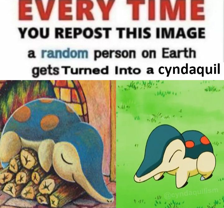 Two pictures of Cyndaquil and the text “Every time you repost this image a random person on Earth gets turned into a Cyndaquil”