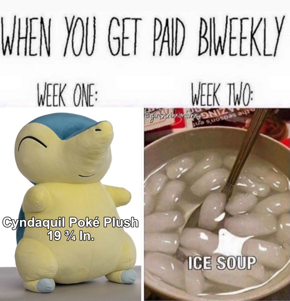 Meme with the text “When you get paid biweekly” and a picture of a Giant Cyndaquil Plushie with the text Week one and an ice soup with the text Week two.