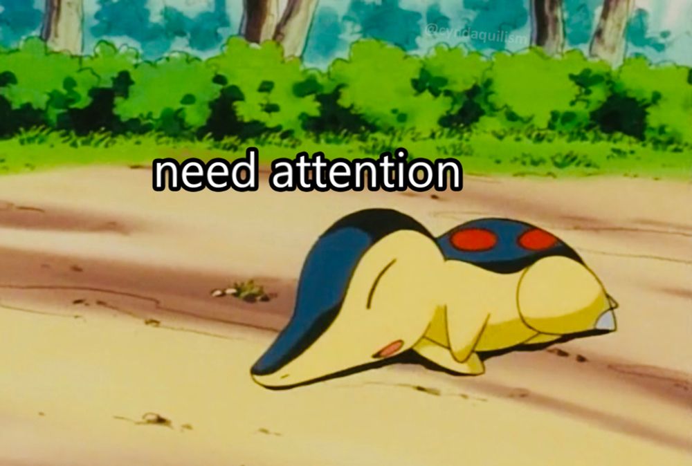 Anime Cyndaquil lying down and the text "need attention".