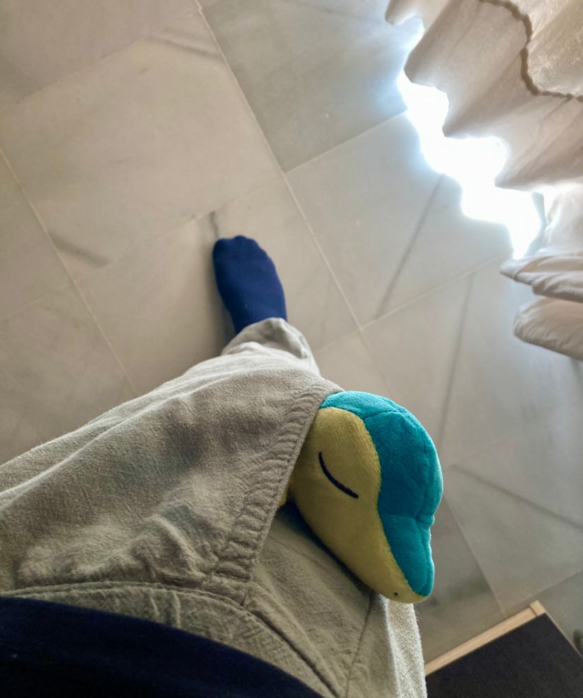 My Cyndaquil plushie in my trousers pocket.