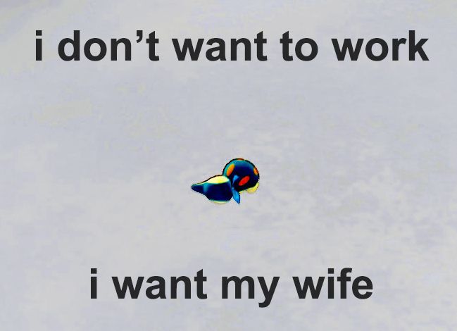 Cyndaquil lying on an empty space from Pokémon Mystery Dungeon and the text "I don't want to work, I want my wife".