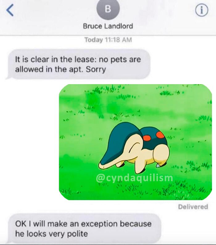 A message chat, a person texts "It is clear in the lease: no pets are allowed in the apt. Sorry", the reader responds with an image of Cyndaquil and they text back "OK I will make a exception because he looks very polite".