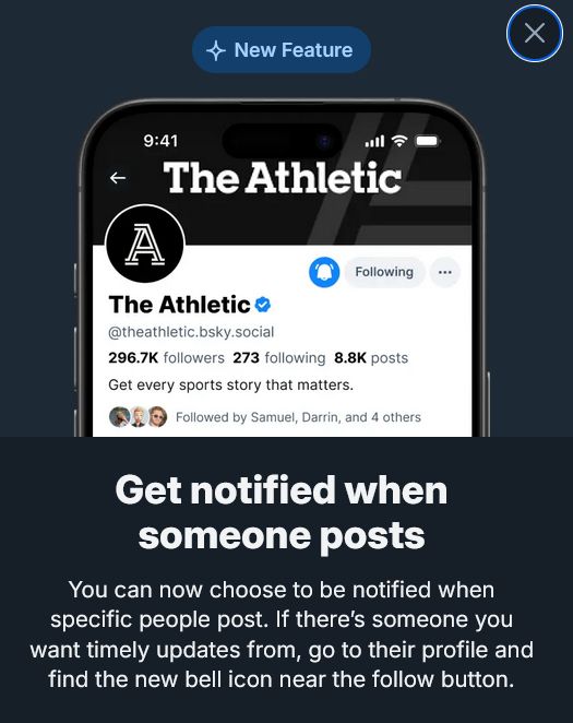 Bluesky added individual notifications at last!!!!