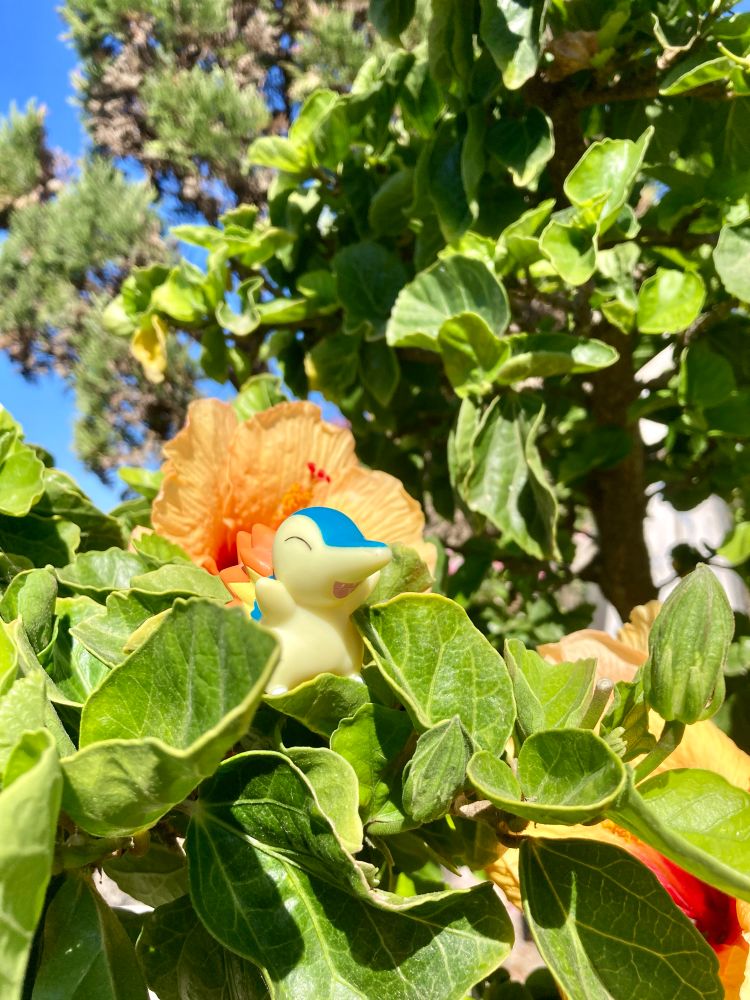 Happy Cyndaquil figurine on a plant in a sunny day.