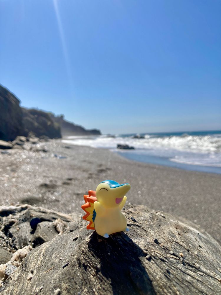 My Cyndaquil figurine chilling on the beach.