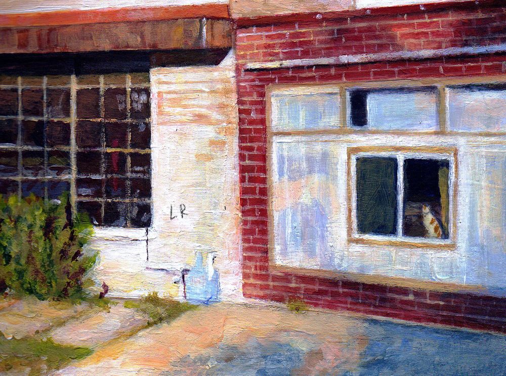 Setting sun casts light on an apartment/business, a cat is in the nearby window looking outside