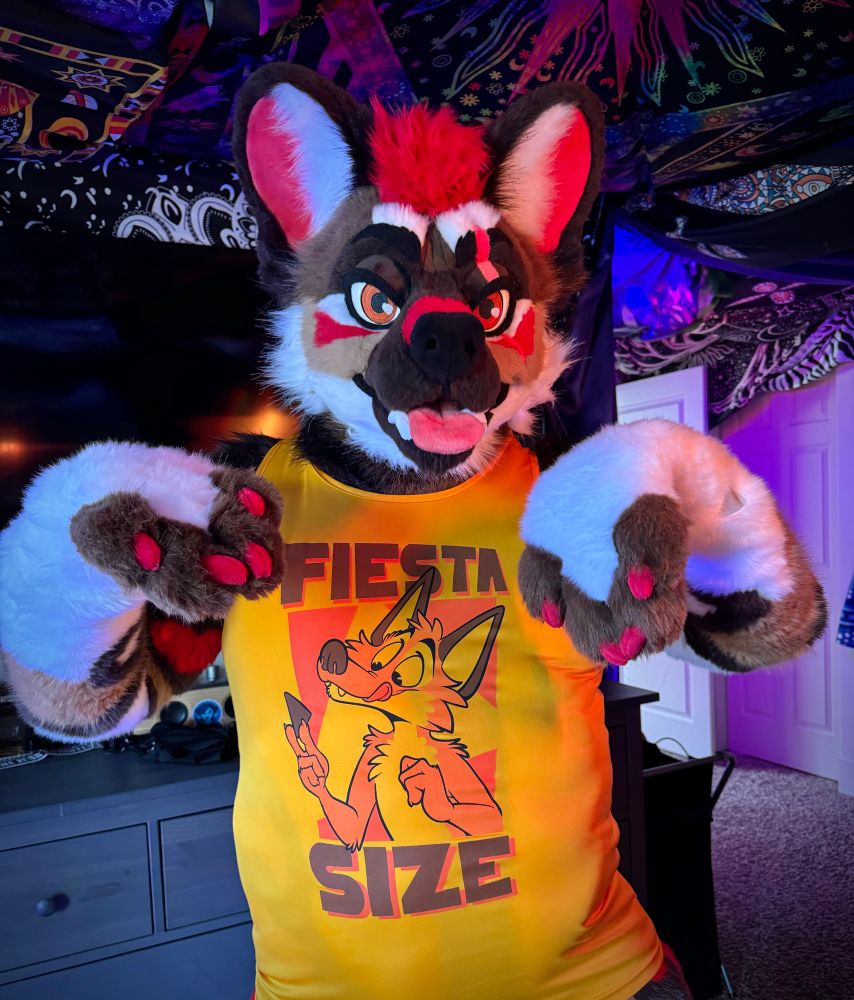 African wild dog wearing a fiesta size T-shirt while making cute beggy paws